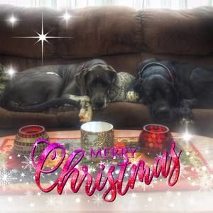 Meet your Posher, Lynn